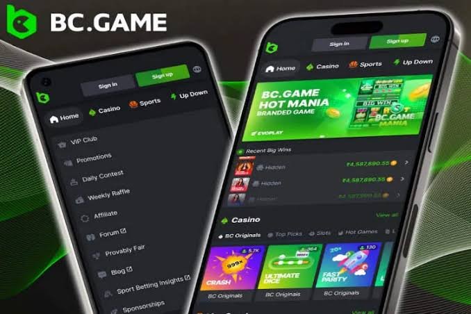 Exploring BC.Game Payment Methods in the Philippines 832915286