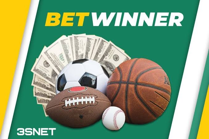 Exploring the BetWinner Platform A Comprehensive Overview