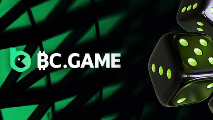 Ultimate Guide to BC.Game for Indonesian Players -291086947